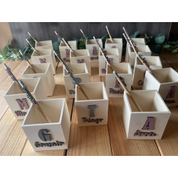 Set lapicero y lápiz